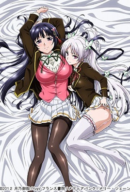 Ojou-sama Yomeiri Kousou!