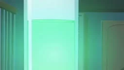 Episode 1, preview 1