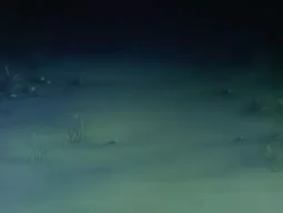 Episode 1, preview 2